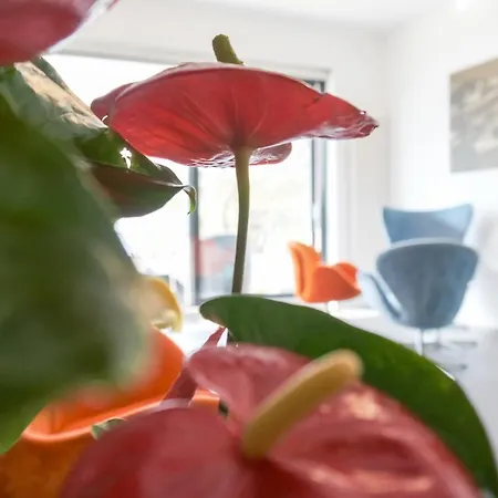 فندق Geranio Au 3*